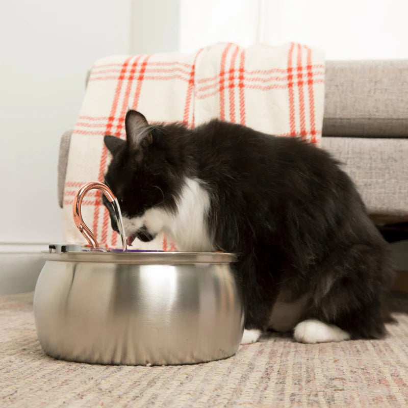 Built to Eliminate Whisker Fatigue