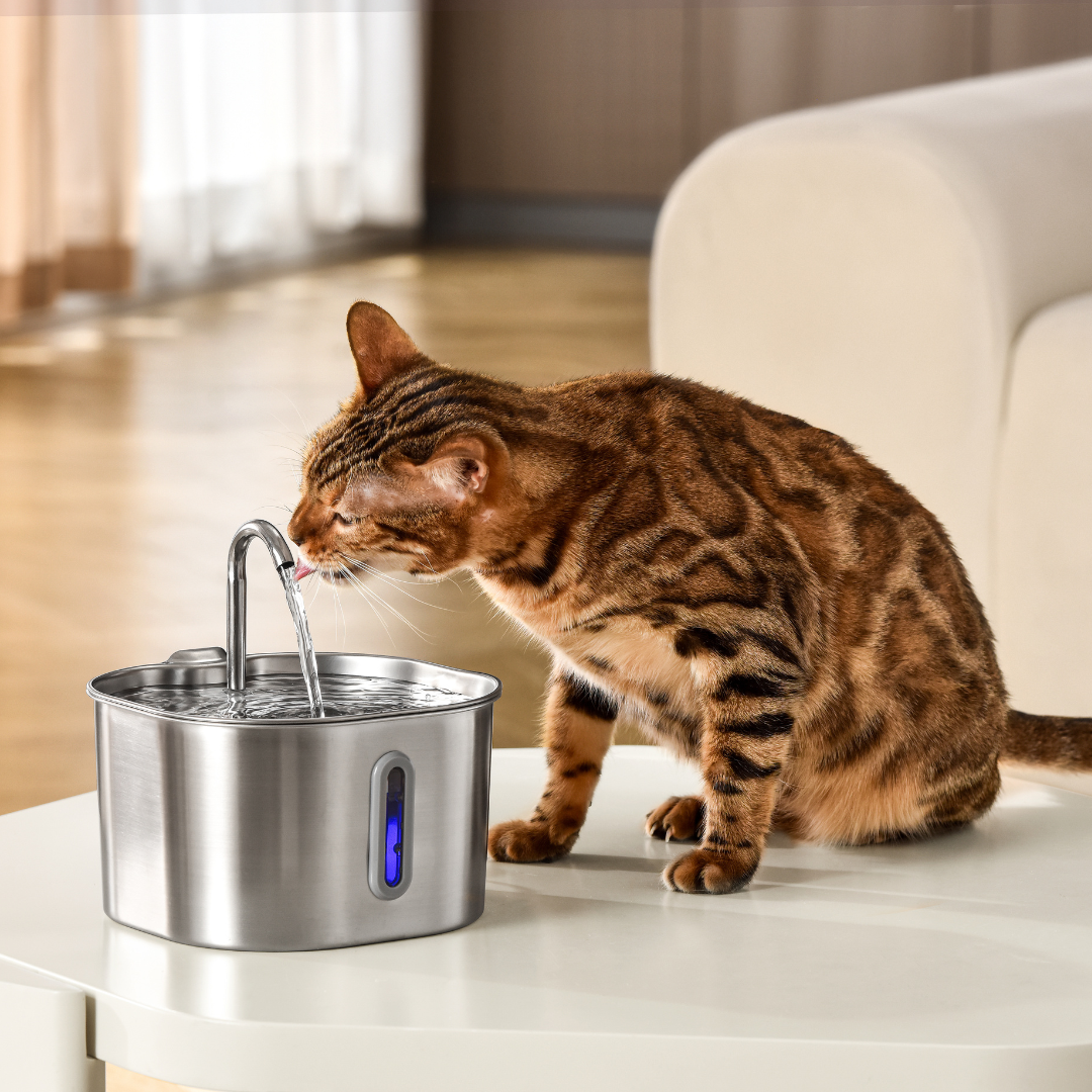 Advanced Feline Hydration & Enrichment System