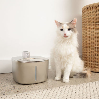 Ultimate Feline Hydration & Wellness Kit