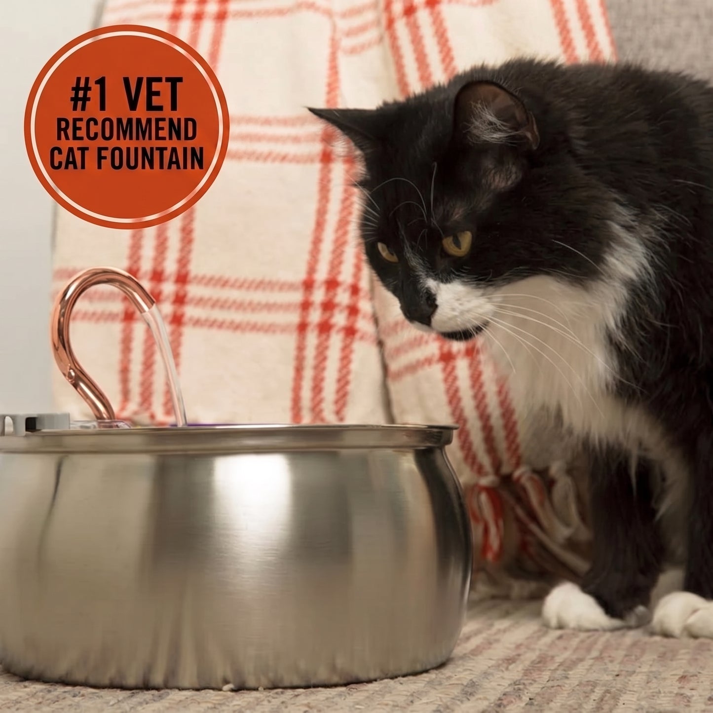 4L Ultimate Pet Hydration & Filtration Kit