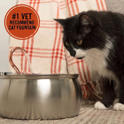 4L Ultimate Pet Hydration & Filtration Kit