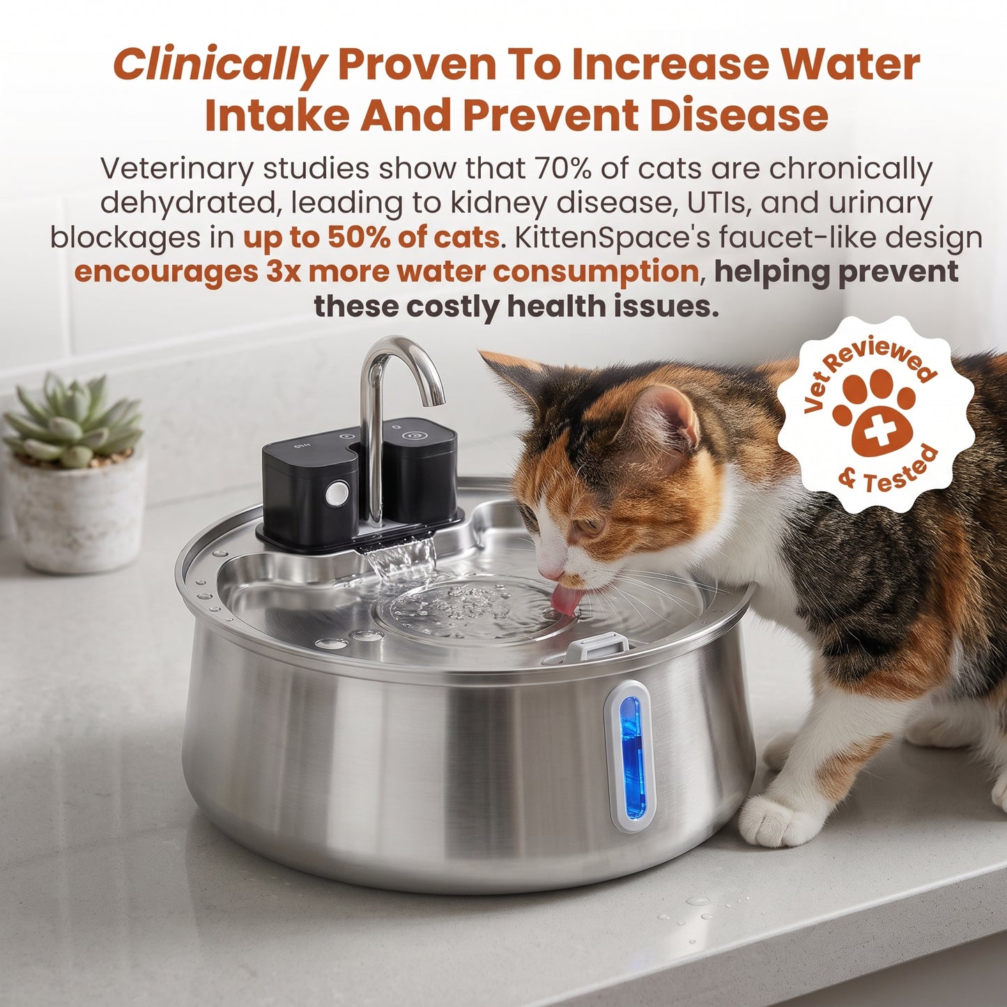 4L (2026) Ultimate Pet Hydration & Filtration Kit