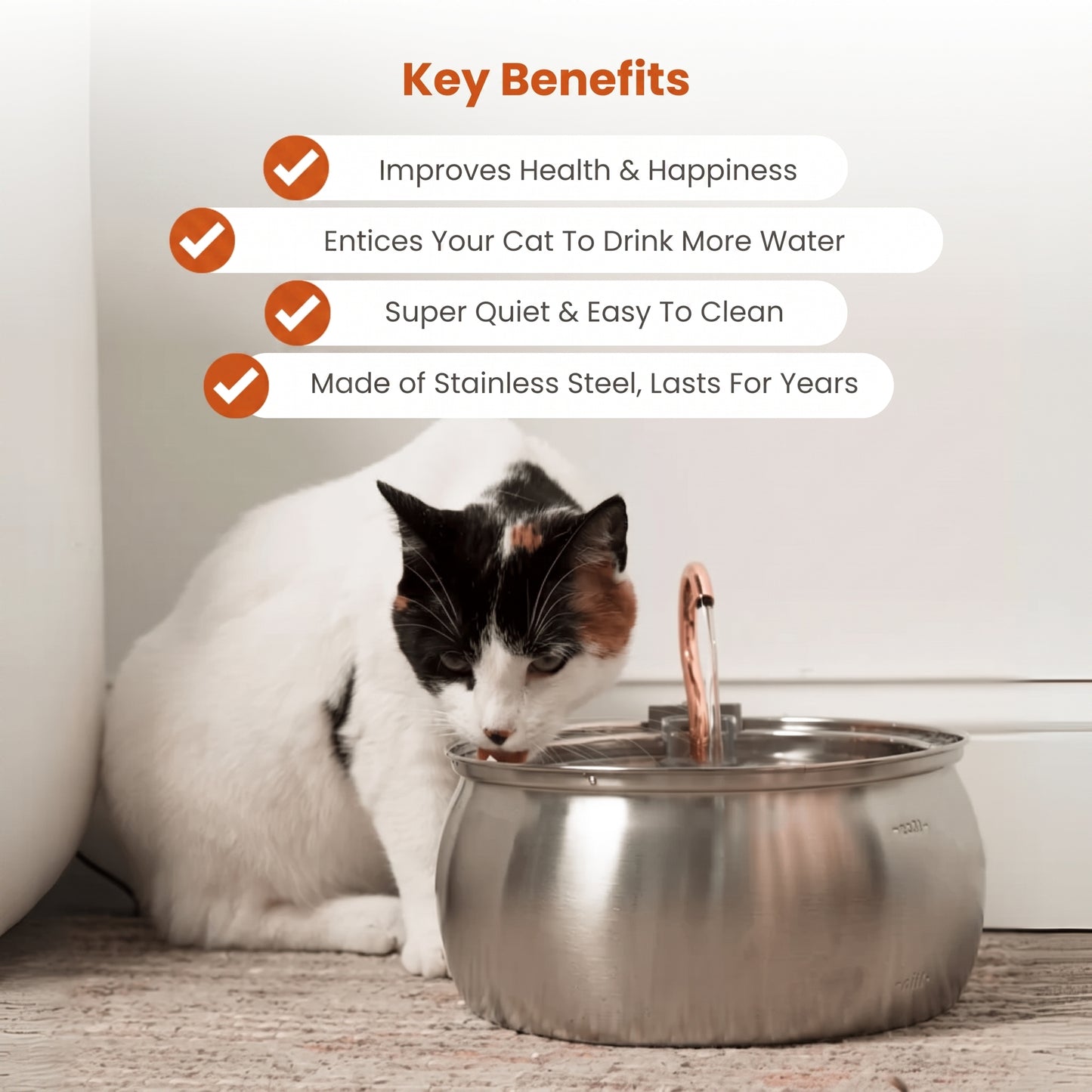 4L Ultimate Pet Hydration & Filtration Kit