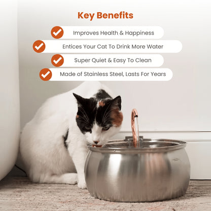 4L Ultimate Pet Hydration & Filtration Kit