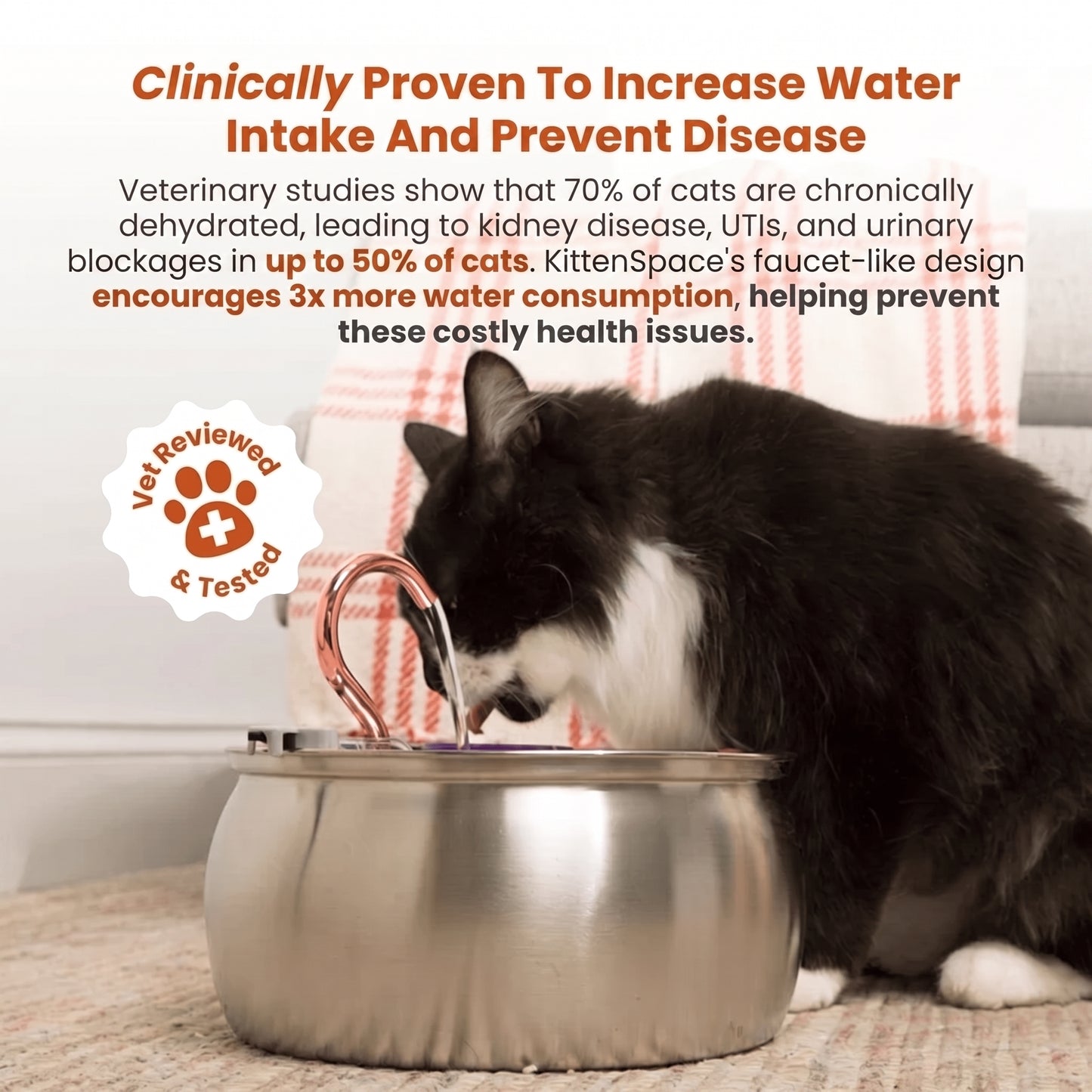 4L Ultimate Pet Hydration & Filtration Kit