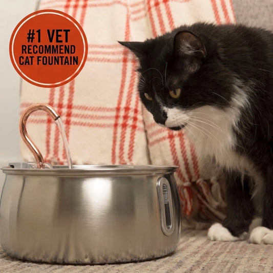 4L Ultimate Pet Hydration & Filtration Kit