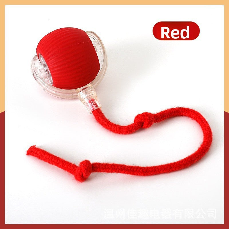 Automatic Interactive Cat Toy Ball with Rope