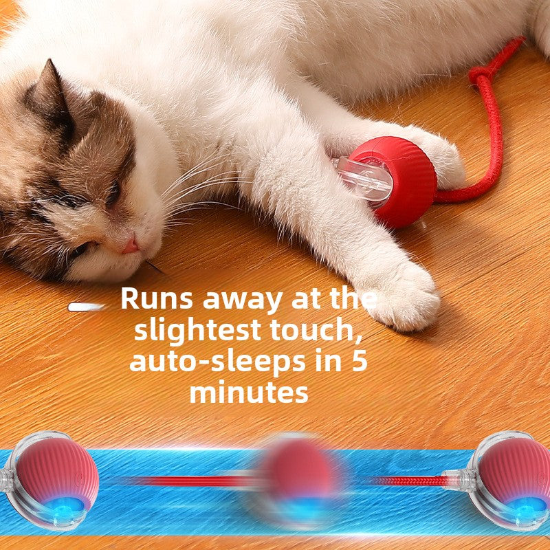 Automatic Interactive Cat Toy Ball with Rope