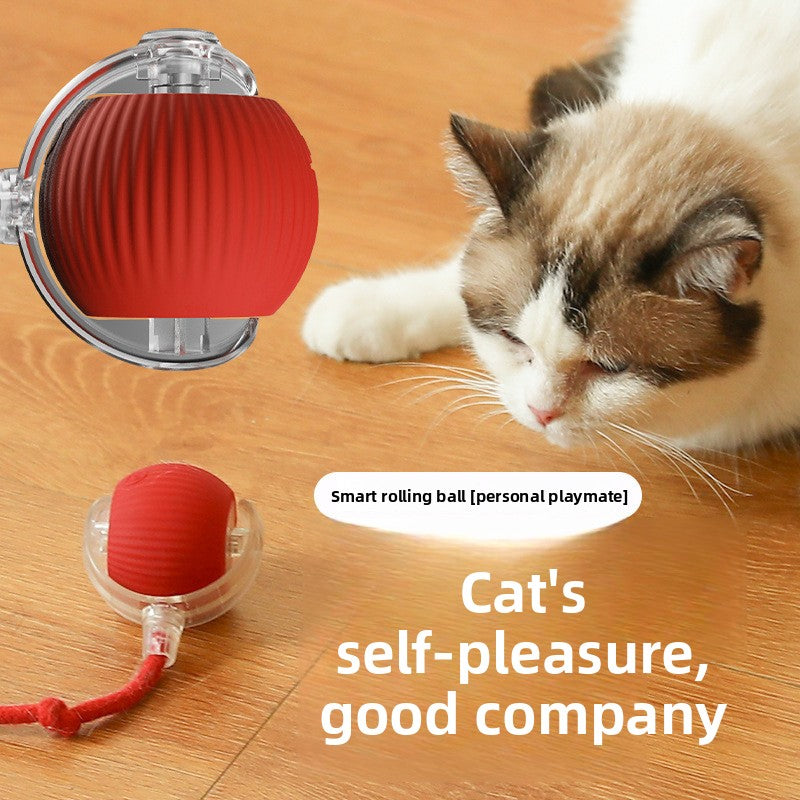 Automatic Interactive Cat Toy Ball with Rope